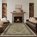 Medallione 6x8 Area Rugs for Living Room, Low Pile Thin Washable Non Slip Rugs for Bedroom Dining Room, Vintage Distressed Carpet for Home Office Guest Room, Multi Brown/Olive Accents