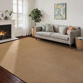 Washable Area Rug 6x9 Feet Brown Non Slip Living Room Kitchen Rugs Indoor Entryway Rug Floor Carpet for Dining Living Room Bedroom