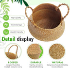 Large Wicker Plant Basket with Handle 10 Inch Woven Seagrass Belly Basket and Artificial Moss for House Plants Picnic Grocery Laundry Storage Home Decor(Large,Original,1 Pack)