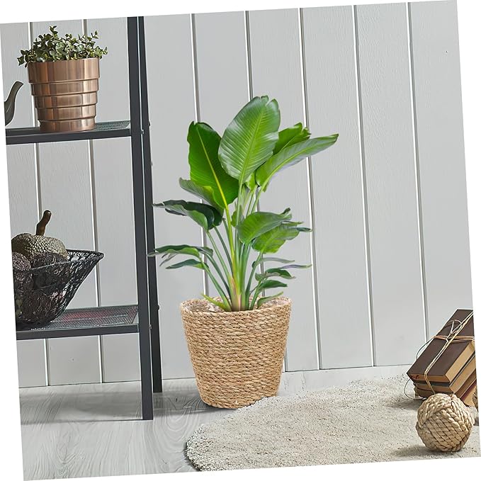 Boho Decorative Woven Basket Plant Pots for Shelves Handmade Woven Flower Pot for Dining