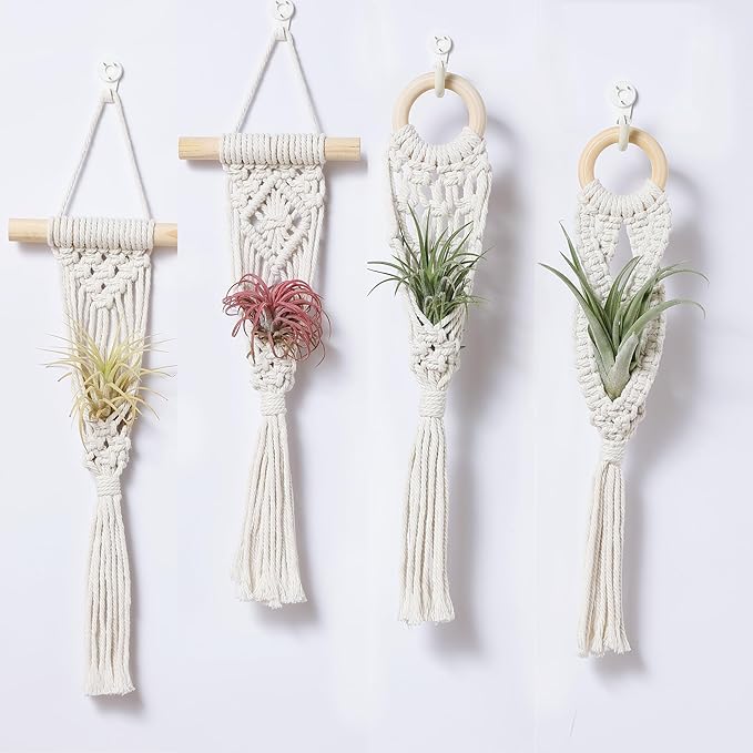 4 Pack Air Plants Holders, Wall Planters for Indoor Plants | Macrame Plant Hanger, Air Plant Hanger for Air Fern, Tillandsias (for Air Plant, NO Plant Included)