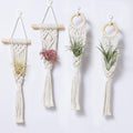 4 Pack Air Plants Holders, Wall Planters for Indoor Plants | Macrame Plant Hanger, Air Plant Hanger for Air Fern, Tillandsias (for Air Plant, NO Plant Included)