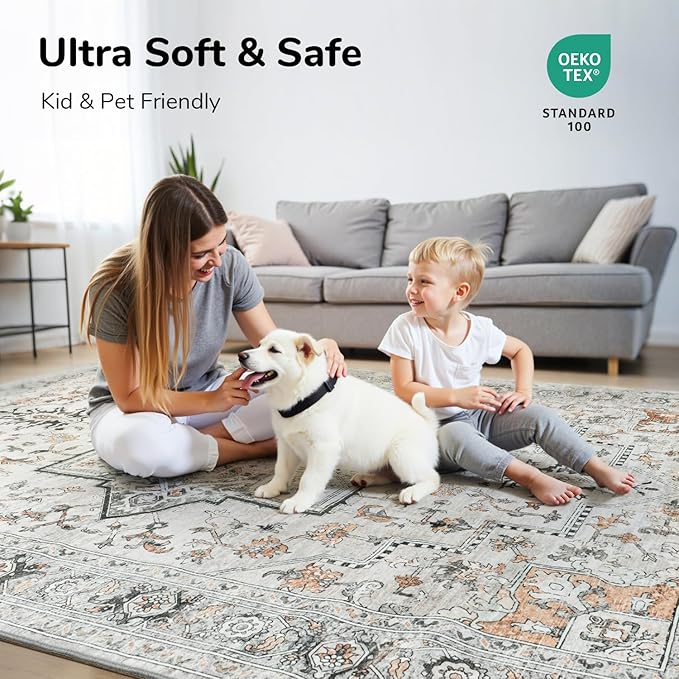 Lessymo 5x7 Area Rugs for Living Room, Washable Rug for Bedroom Kitchen Dining Room, Soft Vintage Carpet Non Slip, Large Boho Rug Low Pile for Entryway Dorm Nursery Kids Room Bedside, Grey/Brown
