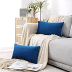 NiNi ALL Decorative Throw Pillow Covers Velvet 12x20 Inch Pack of 2 Blue Cushion Covers Soft for Couch Sofa Bedroom Living Room Outdoor