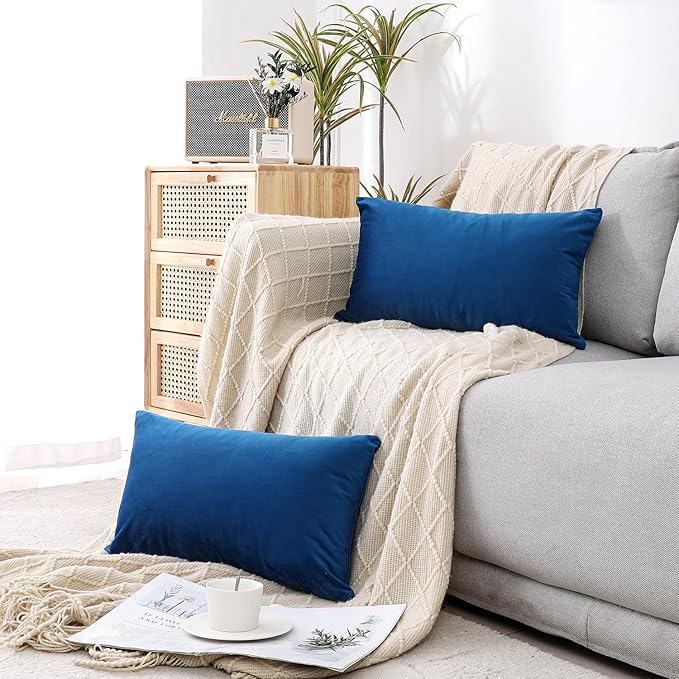 NiNi ALL Decorative Throw Pillow Covers Velvet 12x20 Inch Pack of 2 Blue Cushion Covers Soft for Couch Sofa Bedroom Living Room Outdoor