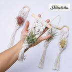 4 Pack Air Plants Holders, Wall Planters for Indoor Plants | Macrame Plant Hanger, Air Plant Hanger for Air Fern, Tillandsias (for Air Plant, NO Plant Included)
