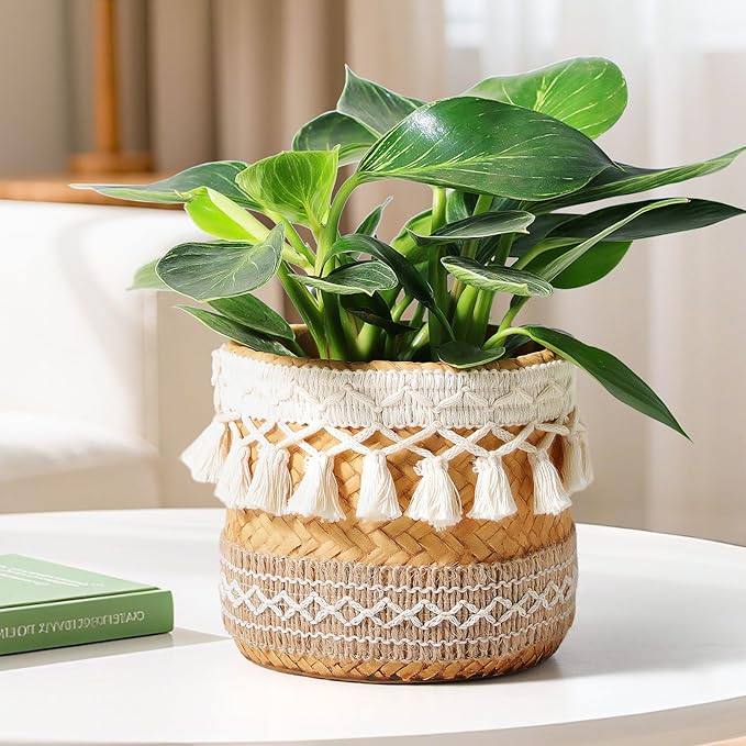 Concrete Rattan-Style Plant Basket Planter, 5" Boho Plant Pots Indoor Outdoor with Drainage Hole, Flower Pot for Succulents, Herbs, Modern Farmhouse Decor, Ideal Gift for Plant Lovers