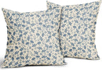 Light Blue Floral Pillow Covers 20x20 Set of 2 Vintage Rustic Old Style Cute Small Flower Blue Cream Print Decorative Outdoor Pillowcases Farmhouse Throw Cushion Case Decor for Couch Sofa Bed