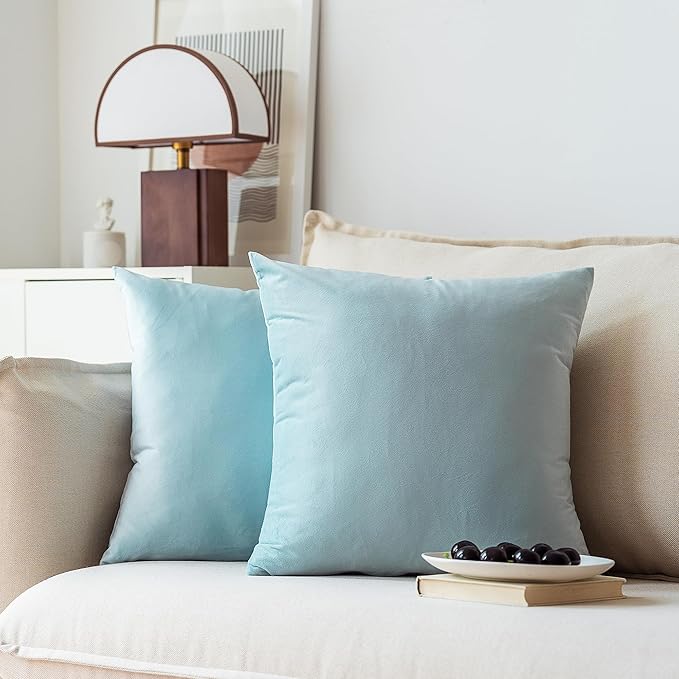 NiNi ALL Decorative Throw Pillow Covers Pack of 2, Velvet Throw Pillow Cases for Couch Pillows Cover Bedroom Living Room Outdoor Pillow Covers 24x24 Inch Baby Blue