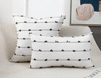 Set of 2 Boho Throw Pillow Covers 28x28,Black Off White Neutral Couch Pillow Case with Tassel Fringe Decorative，Modern Accent Farmhouse Cushion Covers for Sofa Couch Bed Living Room