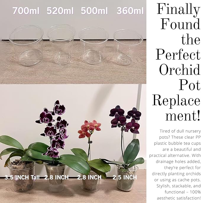 Clear DIY Orchid Pot – 3.5 Inch Teacup Planters & Stylish Covers for Phalaenopsis, Succulents & Indoor Plants – Customizable Drainage (12 oz Clear Plastic Teacup Planters (50-Pack))
