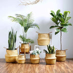 2 Pack Hand Woven Seagrass Plant Basket for Succulents,Boho Belly Plant Basket Home Storage Basket Extra Large Woven Straw Beach Bag Seagrass Flower Plant Container Modern Home Decor(Brown)