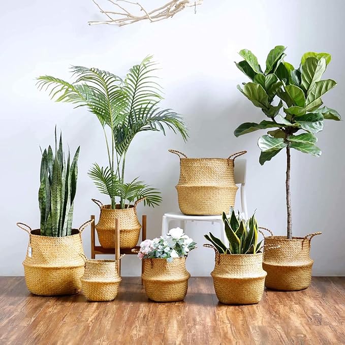 2 Pack Hand Woven Seagrass Plant Basket for Succulents,Boho Belly Plant Basket Home Storage Basket Extra Large Woven Straw Beach Bag Seagrass Flower Plant Container Modern Home Decor(Brown)