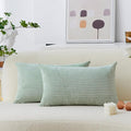 Home Brilliant Sage Green Lumbar Spring Pillow Cover Corduroy Plush Velvet Oblong Decorative Rectangle Pillowcases for Bed Couch Sofa St Patricks Day Decor, Set of 2, 12 x 20 inches(30x50cm), Mint
