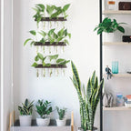 Plant Propagation Station Tubes, 3 Tiered 15 Wall Hanging Glass Test Tubes Vase Planter for Hydroponic Home Garden Office Decor, Gardening Gifts for Women Plant Lover - Brown