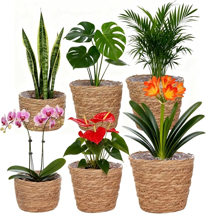 6 Pcs Plant Baskets Indoor with Plastic Liners, Wicker Hand Woven Plant Baskets, Flower Pots Storage Containers in 3 Sizes, Decorative Planters for Home, Balcony, Office