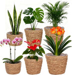 6 Pcs Plant Baskets Indoor with Plastic Liners, Wicker Hand Woven Plant Baskets, Flower Pots Storage Containers in 3 Sizes, Decorative Planters for Home, Balcony, Office