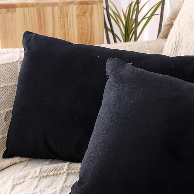 NiNi ALL Decorative Throw Pillow Covers Pack of 2 Velvet Throw Pillow Cases for Couch Sofa Bed Car Office Pillows Cover Bedroom Living Room Outdoor Black Pillow Covers 12x20 Inch