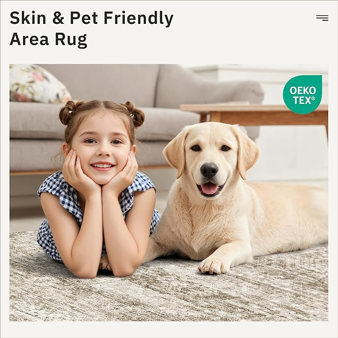 6x9 Area Rug for Living Room Washable 6x9 Rug Non-Slip Modern Rugs for Bedroom Dining Room Ultra-Thin Indoor Brown Rug