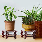 Geetery 2 Pcs 4 to 12 in Wooden Plant Stands Indoor Chinese Oriental Plant Stand for Vase Fishbowl Flower Pot Lamp Redwood Base Vintage Display Rack Decor(8 Inch)