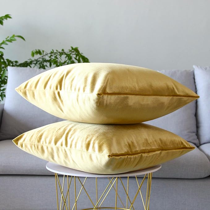 2 Pack Soft Velvet Couch Throw Pillow Covers 20x20 Inch for Sofa Living Room Bedroom (Gold)