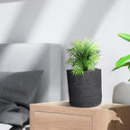 2pcs of Black Hemp Rope Hanging Basket-10.6" x 5.5" Hanging Woven Wall Basket Set with Leather Handles,Wall Mounted Woven Hanging Basket Storage,Shelf Basket Organizer for Plants