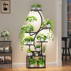 Plant Stand Indoor with Grow Lights - 62" Tall Plant Shelf, Lighted Corner Plant Stands for Indoor Growing, 8 Tiered Large Flower Holder, S-Shaped Plants Rack for Living Room, Patent Design, Black