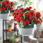 Miuwauer 20 Pack of 8-inch Hanging Basket Water Catcher Plastic Hanging Plant Drip Pan Tray Plastic Saucers Liners for Indoor Outdoor Hanging Plants Baskets Flower Pots - Clear, Round