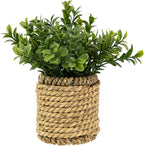 Northlight Milan Leaf Artificial Mini Bush in Rattan Basket - 7"