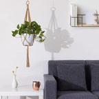 Navaris Macrame Plant Hangers (Set of 5) - Macrame Plant Hanger Set Cotton Pot Holder for Hanging Plants Indoor Outdoor - Pack with 5