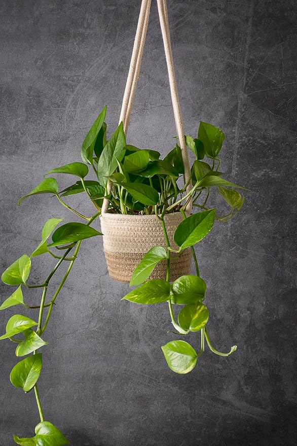 SuperMoss (54029 SoftWeave Hanging Planters for Indoor Plants 6″, Mixed Case, Set of 3, 6 inch Plant Flower Pots