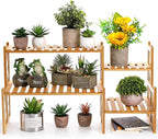 Lawei 2 Tier Bamboo Tabletop Plant Stand, Adjustable Flower Pot Holder Shelf Planter Display Stand, Small Desktop Ladder Plant Rack for Indoor Outdoor Home Patio Lawn Garden Balcony Organizer