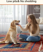 Area Rug 2x10 Rug Machine Washable Non-Slip Low Pile Print Pattern Western Rug for Living Room Bedroom Entryway Tribal Series -Red/Orange