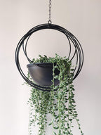 RISEON Boho Metal Plant Hanger,Metal Geometric Hanging Planter, Modern Planter, Mid Century Air Plant Holder Stand, Minimalist Planter for Indoor Outdoor Home Wedding Decor (Black)