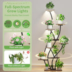 Plant Stand Indoor with Grow Lights - Lighted Plant Shelf Indoor Tall, 61" 9 Tier Large Plant Stands for Indoor Growing, 2 Pack Corner Flower Shelf, Winged Metal Holder for Home Living Room, Black