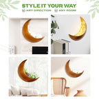 Wall Planter - Window Planter - Hanging Moon Planter - Boho Hanging Planters for Indoor Plants, Succulents, Air Plant, Cactus, Faux, Artificial Plants -Witchy Gifts for Women, Birthdays,Plant Lovers