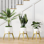 Adjustable Plant Stands Set of 2, Metal Small Plant Holder, Heavy Duty Stable Flower Holder Stand Rack for Various Pot Sizes Indoor Outdoor Corner Living Room Balcony Office Golden PS-007GY-2