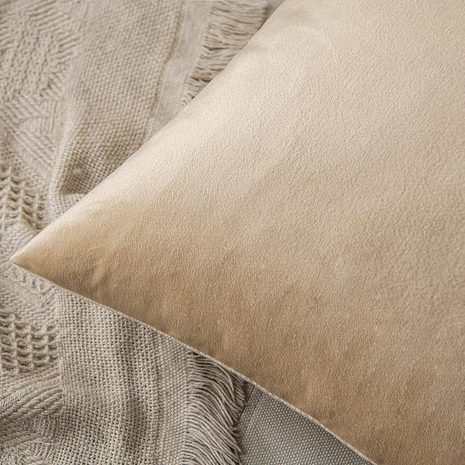 MIULEE Velvet Throw Pillow Covers 12x20 Inch, Pack of 2 - Beige, Soft Solid Lumbar Decorative Pillow Covers Modern Luxury Home Decor for Spring Couch Sofa Bedroom Livingroom
