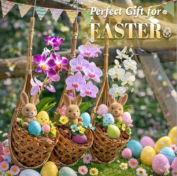Handmade 100% Thai Bamboo Hanging Orchid Basket – 4 Inch Set of 3 – Easter Gift Idea & Spring Seasonal Decoration