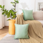 NiNi ALL Decorative Sage Green Throw Pillow Covers Pack of 2 Velvet 14x14 Inch Throw Pillow Cases for Couch Pillows Cover Bedroom Living Room Outdoor Pillows Cover