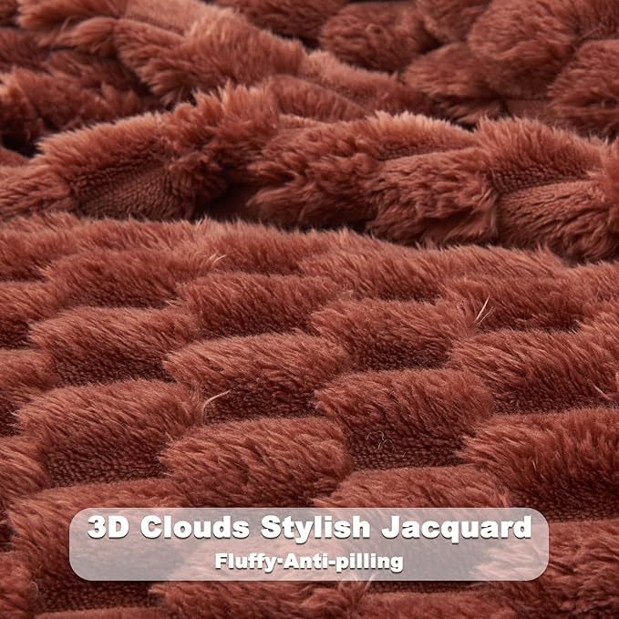 NEWCOSPLAY Super Soft Twin Blanket Coffee Premium Silky Flannel Fleece 3D Clouds Stylish Jacquard Lightweight Bed Blanket All Season Use 350GSM (Coffee, Twin(60"x80"))