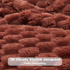 NEWCOSPLAY Super Soft King Blanket Coffee Premium Silky Flannel Fleece 3D Clouds Stylish Jacquard Lightweight Bed Blanket All Season Use 350GSM (Coffee, King(90"x110"))