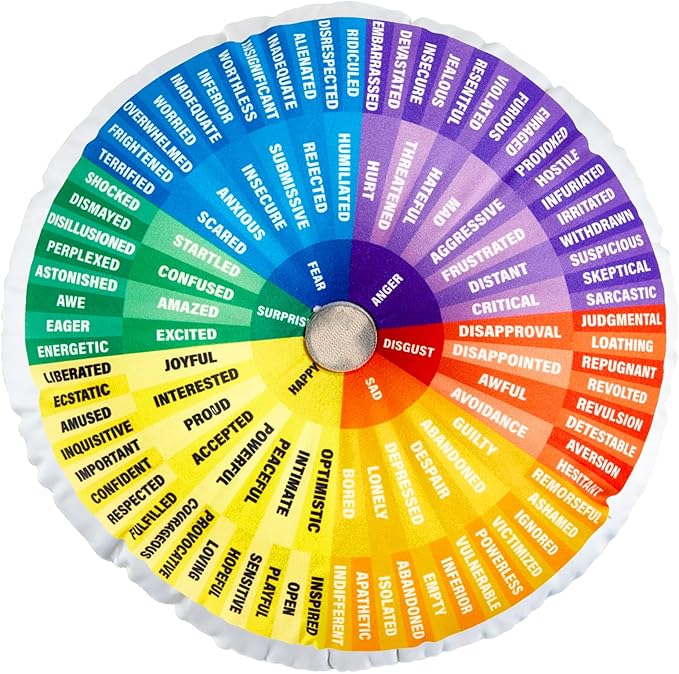 party greeting Wheel of Emotions Feelings Pillow Round Velvet Feelings Wheel Emotion Throw Pillow Circle Seating Floor Cushion for Office Home Room Sofa Decor Counselor Physical Therapist Gift Rainbow