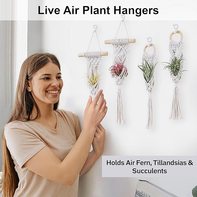 4 Pack Air Plants Holders, Wall Planters for Indoor Plants | Macrame Plant Hanger, Air Plant Hanger for Air Fern, Tillandsias (for Air Plant, NO Plant Included)