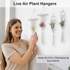 4 Pack Air Plants Holders, Wall Planters for Indoor Plants | Macrame Plant Hanger, Air Plant Hanger for Air Fern, Tillandsias (for Air Plant, NO Plant Included)