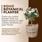 Kouboo Kobo Rattan Round Planter, Gray Decorative Storage Basket