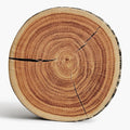 HYSEAS Decorative Round Throw Pillow, 3D Digital Print Comfortable Kids Funny Cute Wood Log Pillow Circle Seating Floor Cushion for Home, Couch, Sofa, Bedroom, Living Room, Stump, 16 x 2.75 Inch