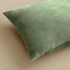 MIULEE 24x24 Inch Euro Sham Velvet Pillow Covers, Set of 2 Large Square Decorative Spring Pillows -Sage Green Super Soft for King Bed, Sofa, Couch, Accent Chairs