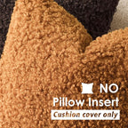 Foindtower 2 Pieces 22x22 Inch Orange, Faux Fur Throw Pillow Cover Accent Sherpa Furry Pillow Covers Fuzzy Soft Pillowcases Cozy Sheepskin Decorative Fleece Cushion Case for Bed Couch Living Room