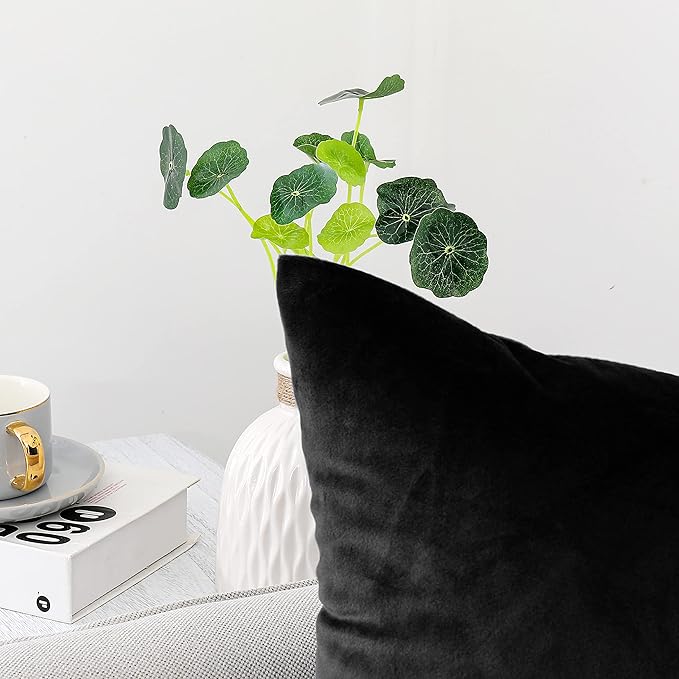 NiNi ALL Decorative Throw Pillow Covers Pack of 2, Velvet Throw Pillow Cases for Couch Pillows Cover Bedroom Living Room Outdoor, Pillow Covers 24x24 Inch Black